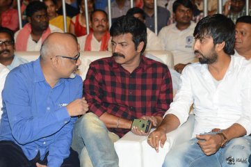 Sardaar Gabbar Singh Movie Audio Launch